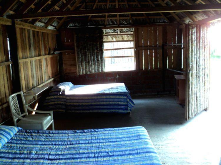 Cabanas Pie De La Cuesta 호텔 Coyuca 객실 사진